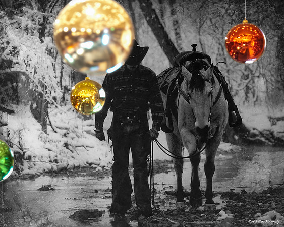 Snowy Cowboy
